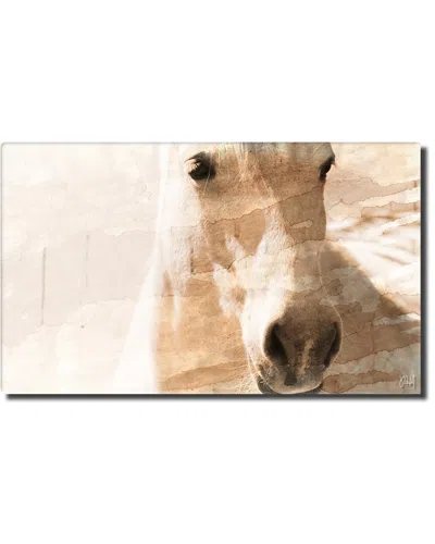 Ready2hangart Equestrian Saddle Ink Psxi Canvas Wall Art By Tristan Scott In Multi