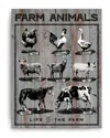 Ready2hangart Farm Animals Wrapped Canvas Wall Art By Olivia Rose