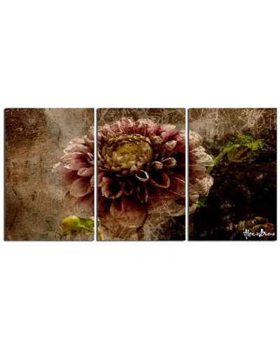 Ready2hangart Floral 3pc Wrapped Canvas Wall Art By Tristan Scott