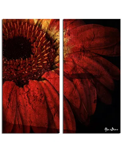 Ready2hangart Gerber Daisy 2pc Wrapped Canvas Wall Art By Tristan Scott In Brown
