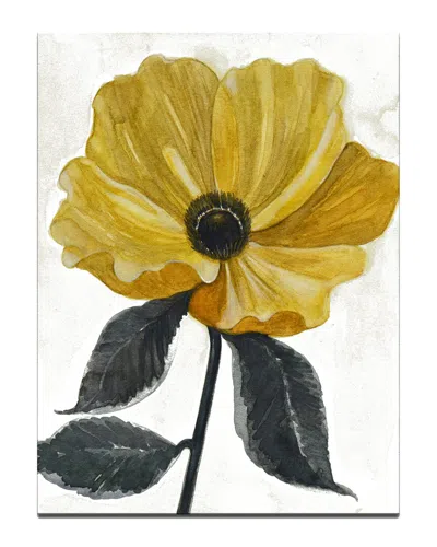 Ready2hangart Graceful Poppy Iv Wrapped Canvas Wall Art By Norman Wyatt