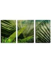 Ready2hangart Green Palm 3pc Wrapped Canvas Wall Art By Tristan Scott