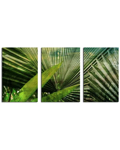 Ready2hangart Green Palm 3pc Wrapped Canvas Wall Art By Tristan Scott
