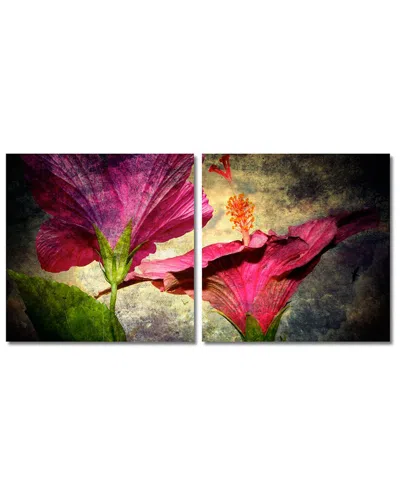 Ready2hangart Hibiscus 2-piece Wrapped Canvas Wall Art By Tristan Scott