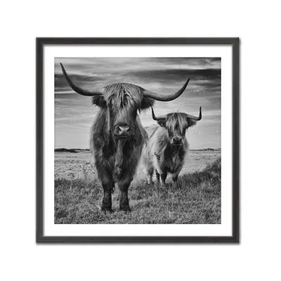 Ready2hangart Highlands By Stephane Pecqueux - Picture Frame Print On Wood In Black;white