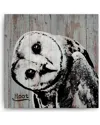 Ready2hangart Hoot Wrapped Canvas Wall Art By Olivia Rose