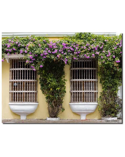 Ready2hangart Indoor/outdoor Wall Decor Provincial Ii In Artplexi Wall Art By Olga Burgos