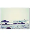 Ready2hangart Learning To Fly Wrapped Canvas Wall Art By Joelle Joy