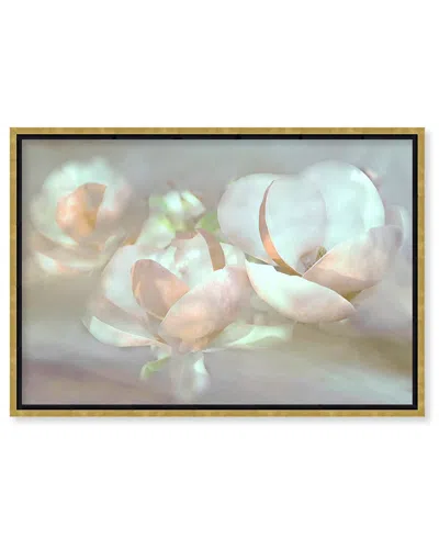 Ready2hangart Magnolia Dreams By Christina Sillen Wall Art