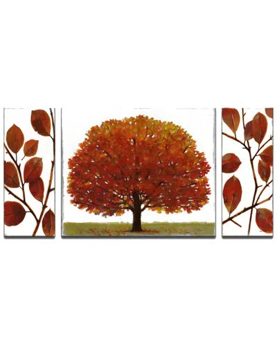 Ready2hangart November Splendor 3pc Wrapped Canvas Wall Art By Norman Wyatt