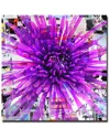 Ready2hangart Painted Petals Lxviii Wrapped Canvas Wall Art By Tristan Scott