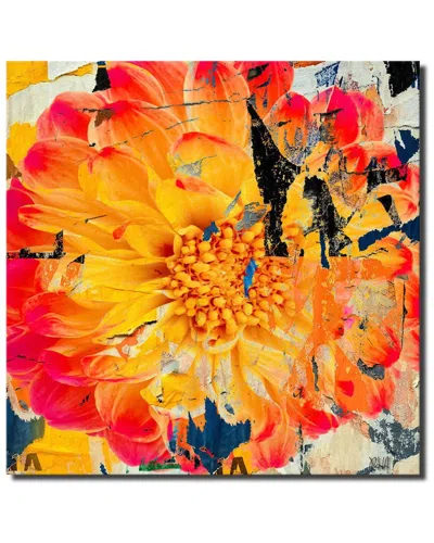 Ready2hangart Painted Petals Lxxxiv Wrapped Canvas Wall Art By Tristan Scott