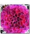 Ready2hangart Painted Petals Xciii Wrapped Canvas Wall Art By Tristan Scott