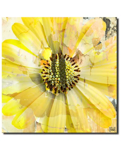 Ready2hangart Painted Petals Xcv Wrapped Canvas Wall Art In Multi