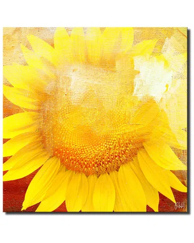Ready2hangart Painted Petals Xcviii Wrapped Canvas Wall Art Set