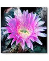 Ready2hangart Painted Petals Xli Canvas Wall Art