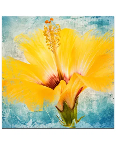 Ready2hangart Painted Petals Xvii Wrapped Canvas Wall Art