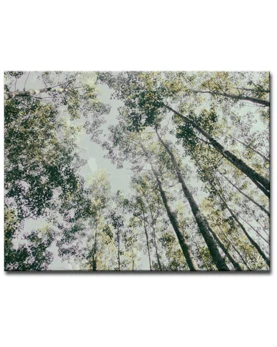 Ready2hangart Shaking Your Tree Wrapped Canvas Wall Art By Joelle Joy In Green