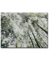 Ready2hangart Shaking Your Tree Wrapped Canvas Wall Art By Joelle Joy