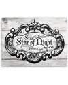 Ready2hangart Star Of Wonder Canvas Wall Art By Olivia Rose