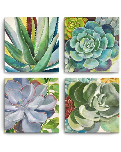 Ready2hangart Succulents I-iv 4pc Wrapped Canvas Wall Art By Norman Wyatt