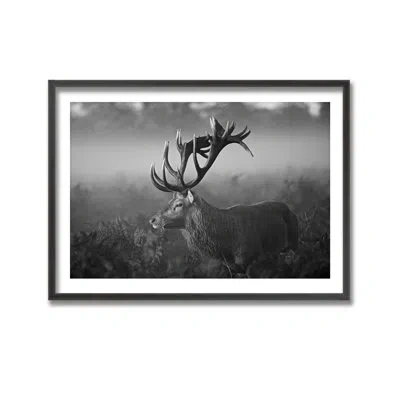 Ready2hangart Sunny Morning By Robert Fabrowski - Picture Frame Print On Wood