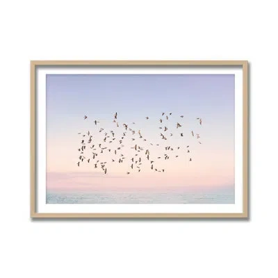Ready2hangart Sunset Flight By Kathrin Pienaar - Picture Frame Print On Wood In Blue;pink