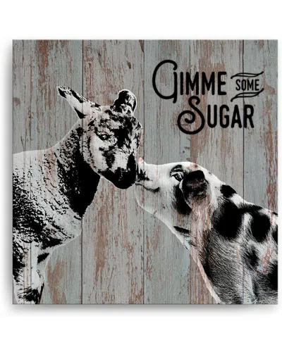 Ready2hangart Sweet Sheep & Pig Wrapped Canvas Wall Art By Olivia Rose
