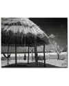 Ready2hangart Trying To Get Home Wrapped Canvas Wall Art By Joelle Joy