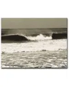 Ready2hangart Watching Them Grow Wrapped Canvas Wall Art By Joelle Joy