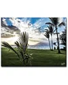 Ready2hangart Waui Maui Wrapped Canvas Wall Art