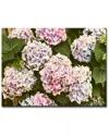 Ready2hangart Where I Stood Wrapped Canvas Wall Art By Joelle Joy