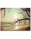 Ready2hangart Wind On The Water Wrapped Canvas Wall Art By Joelle Joy