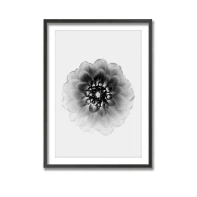 Ready2hangart X-ray By Alex Zhao - Picture Frame Print On Wood In Black;white
