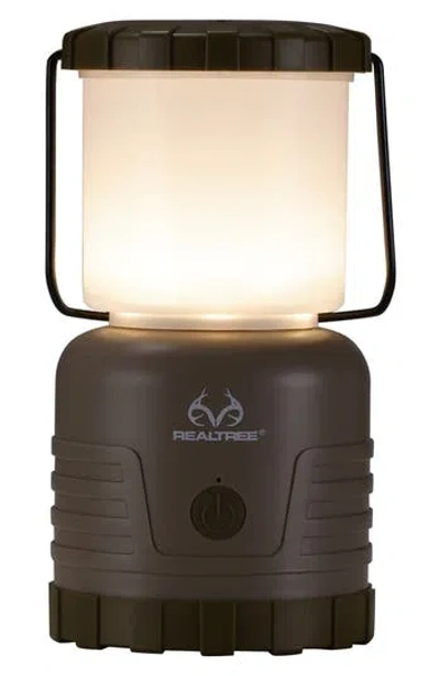 Real Tree Led Lantern In Green