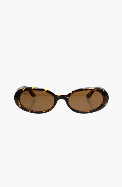 Reality Eyewear Eternal Orbit Sunglasses In Brown