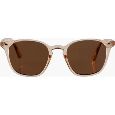 Reality Eyewear The Chelsea Sunglasses In Brown