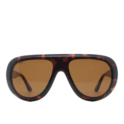 Reality Eyewear Women's Brown El Royale - Turtle