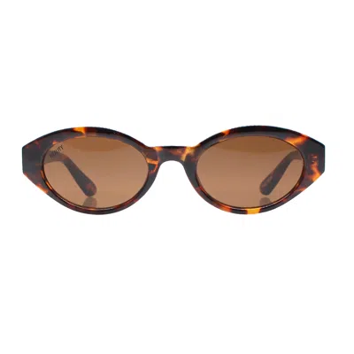 Reality Eyewear Women's The Demi - Turtle In Brown