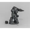 Reaper Miniatures Bones Dark Heaven - Chrono-blackstar Corsair Echo W3