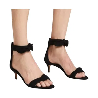 Rebecca Minkoff Kaley Suede Bow Tie Kitten Heels In Black Kid Suede In Multi
