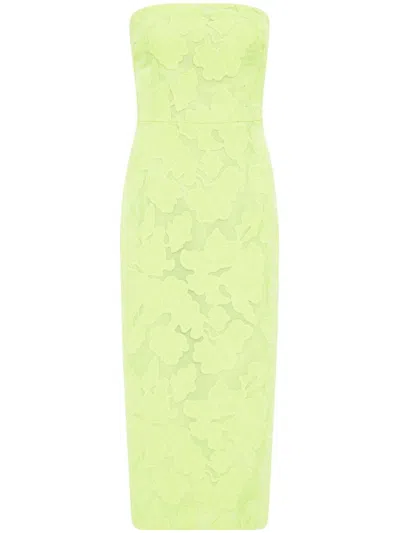Rebecca Vallance Amalia Floral-lace Midi Dress In 绿色