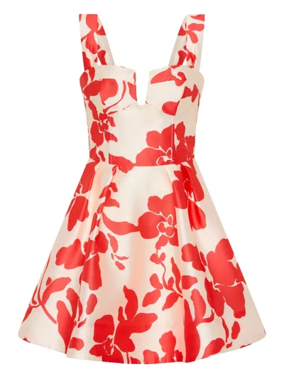 Rebecca Vallance Floral Mayari Mini Dress In Multi