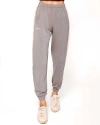 Rebody Active Homebase Fleece Sweatpants In Sage/stripe