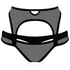 Reckless Wolf Women's Black Bandit High Waisted Brief - Mesh & Lycra Brief With Cutouts In Black