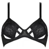 Reckless Wolf Women's Black Raw Wired Bra - Leopard Print, Soft Cup, Wired Bra With Cutouts In Black
