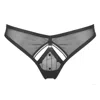 Reckless Wolf Women's Black Rogue Ouvert - Spot & Stripe Tulle Open Back Brief In Black
