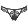 Reckless Wolf Women's Black Savage Open Brief - Beautiful Lace Panelled Cutout Hipster Brief In Black