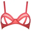 Reckless Wolf Women's Prey Red Bra - Christmas Special Mesh Bra With Cutout In Red