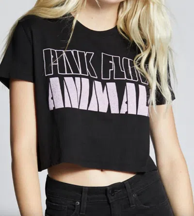 Recycled Karma Pink Floyd Animals Cropped Tee In Black